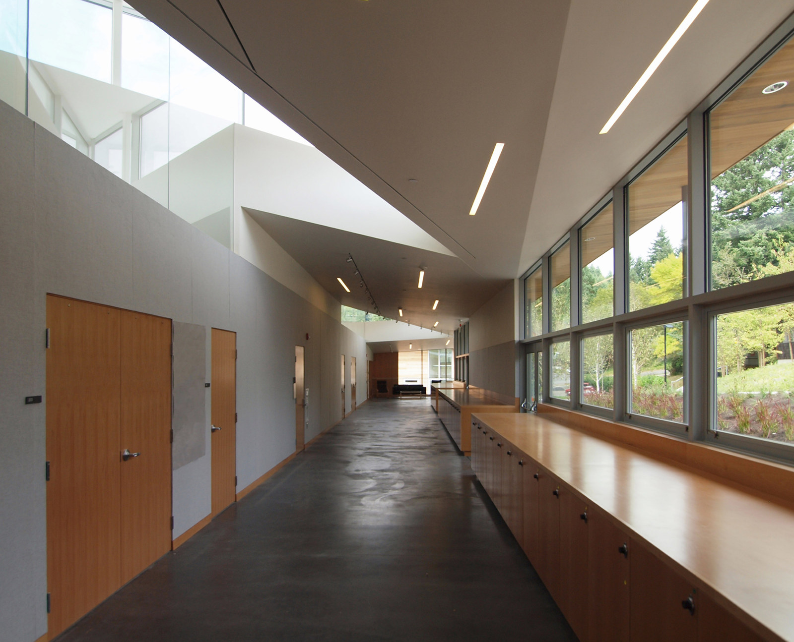 Light-filled corridor, custom maple millwork, concrete floors, linear recessed lighting, skylights and clerestory glazing.